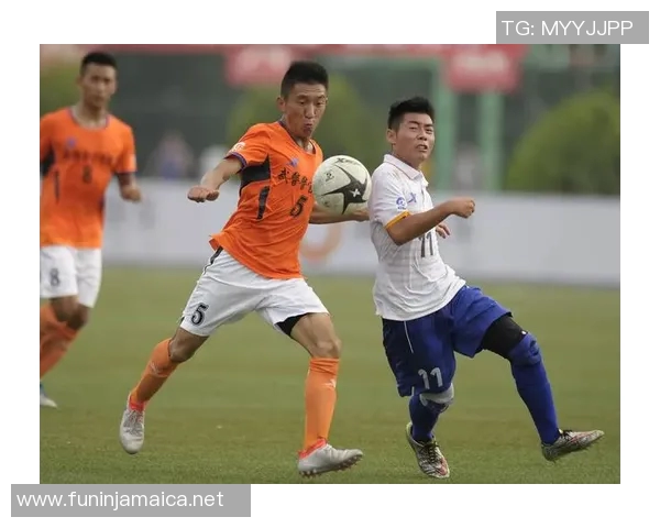 南京网球队实力揭秘:网球巨献背后的训练与荣耀之路