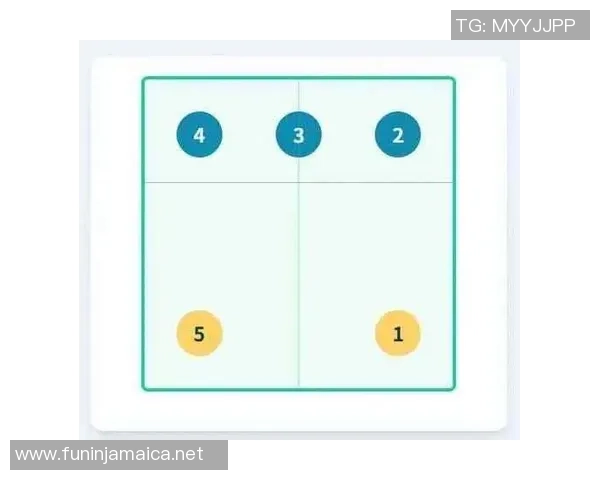 武汉排球队的节奏打法深度解析与战术创新探讨