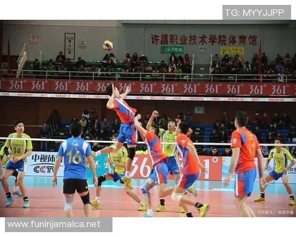 重庆排球队的意识提升与团队协作探讨聚焦排球运动发展新方向 重庆排球队的意识提升与团队协作探讨聚焦排球运动发展新方向