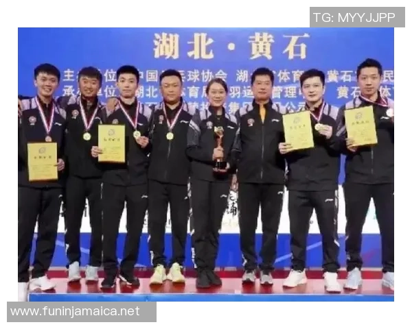 乒乓球速度排名：武汉乒乓球队创新高