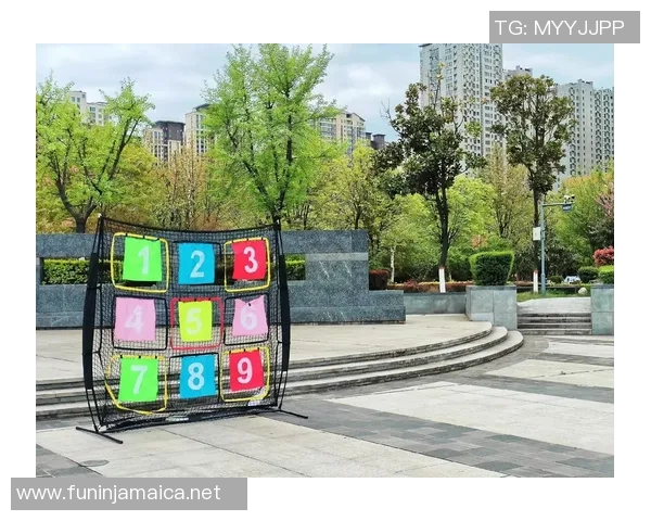 陈娜独家:分享飞盘心得