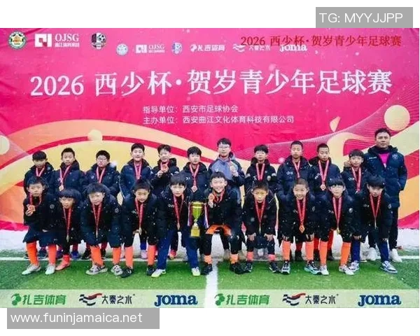 数据分析：西安足球队的实力表现