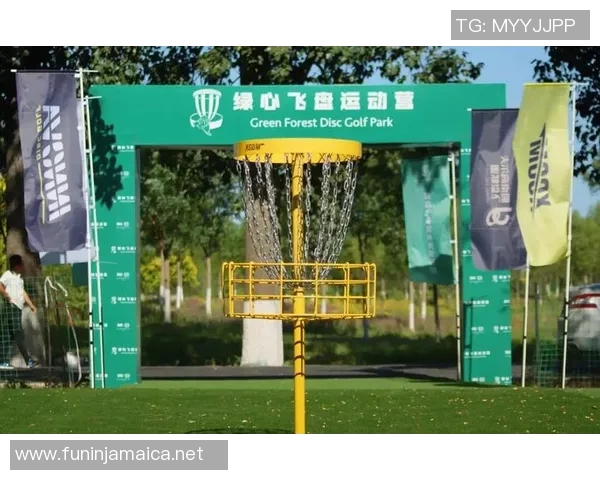 重磅专题：北京飞盘队的进攻革新