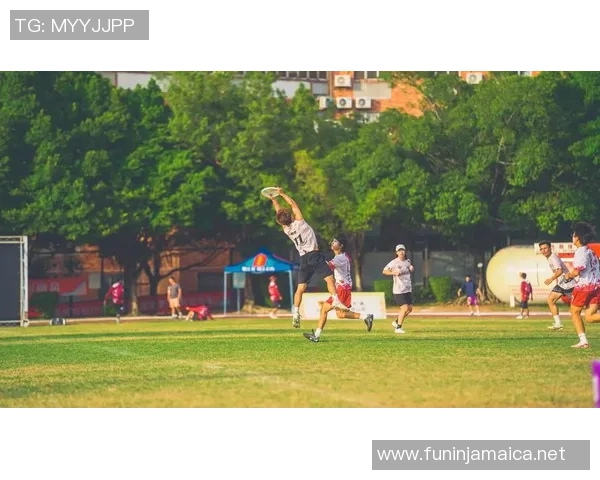 飞盘战术：广州飞盘队的反击体系