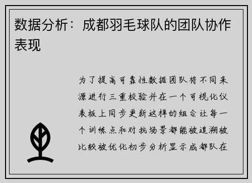 数据分析：成都羽毛球队的团队协作表现