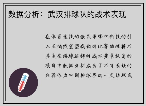 数据分析：武汉排球队的战术表现
